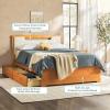 Walker Edision Sloane Solid Wood Upholstered Bed Frame with Storage Drawers, Queen, Caramel(Caramel)