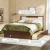 Walker Edision Sloane Solid Wood Upholstered Bed Frame with Storage Drawers, Queen, Caramel(Walnut)