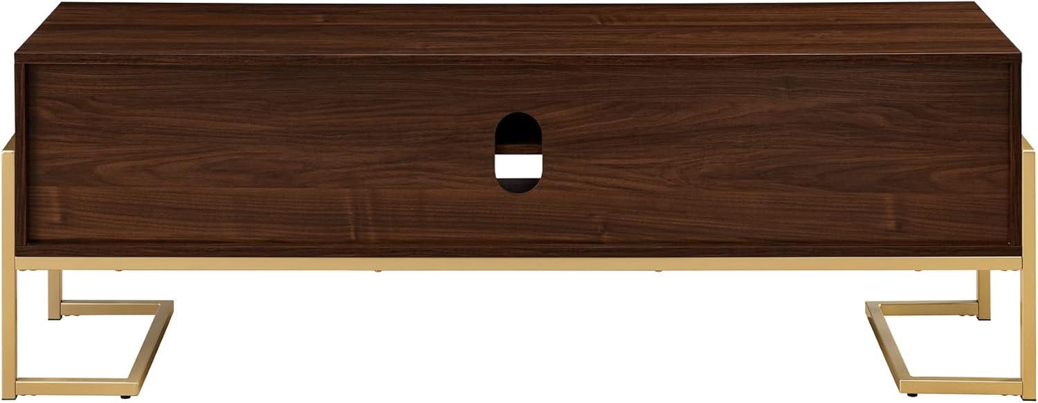 imageWalker Edison Simone Contemporary GoldFrame Storage TV Stand for TVs up to 65 Inches 60 Inch Dark Walnut